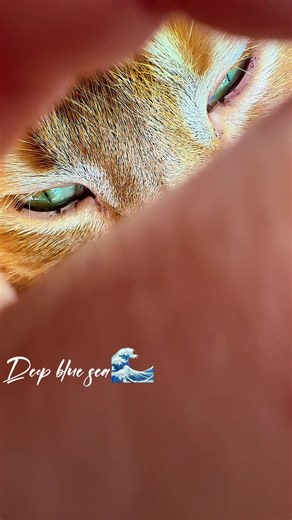 Exploring the Depths of Your Eyes: A Visual Journey