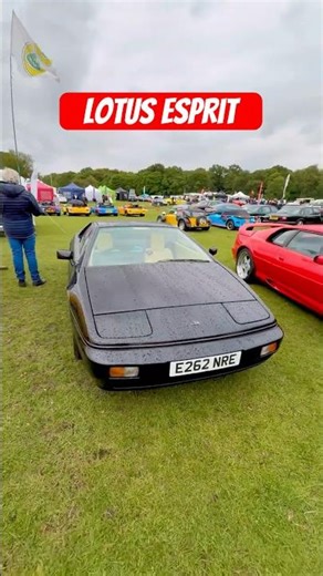 Classic Lotus Esprit #shorts #car #supercar #sportscar #classiccars
