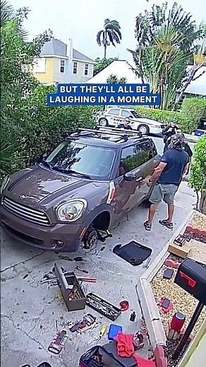 Parrot's 'screams' cause neighbors to call police