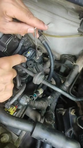 Car Engine Maintenance Tips for Beginners