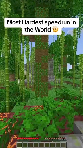 649K views · 10K reactions | Hardest speedrun #Minecraft #speed #minecraftmemes | Skibidi | Facebook