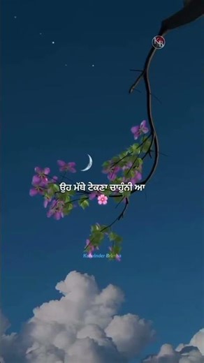 Duniya Jit De Nu | Seera Buttar | Official Video | New Punjabi Romantic Song 2025 | 1M+ Views