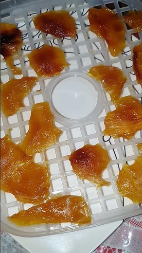 Dried Mango using Dehydrator