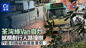 荃灣綠Van撼欄杆剷行人路撞冧樹　79歲司機疑行車期間抽搐後暈倒