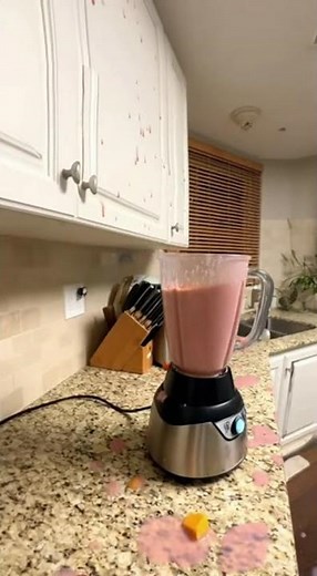 Cat Activates Blender Chaos!