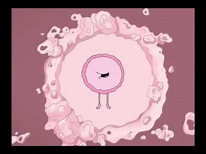 Family Guy - Abortion
