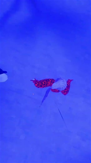 JUKING TTT ‪@armada215‬ ‪@thetreetrotters‬ #gorillatag