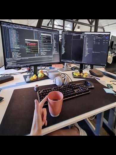Exploring a Career in Software Engineering