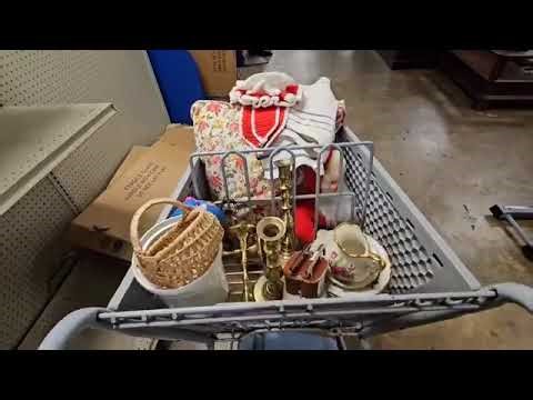 I can't BELIEVE this was at the Goodwill Bins • thrift with me