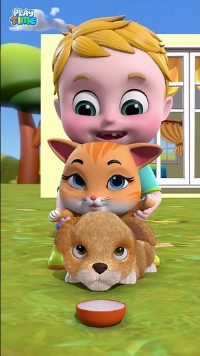 Baby Have A Cat Drum | Fun and Enjoy | Baby Cartoon Nursery Rhymes #shorts #kidssongs #babysongs