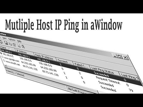 Ping Multiple IP/Host Name by Single Click-