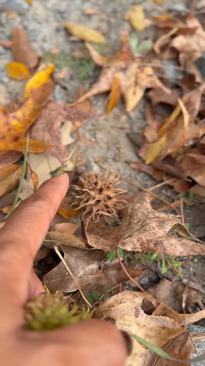 48 reactions · 15 comments | When I was growing up, we were always...