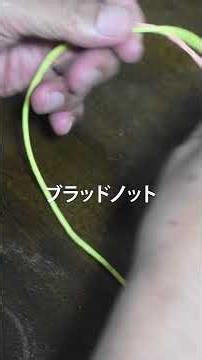 黒鯛のヘチ釣り、落とし込み釣りで代表的な結び方厳選2つ#ハリス結び #オルブライトノット #ブラッドノット