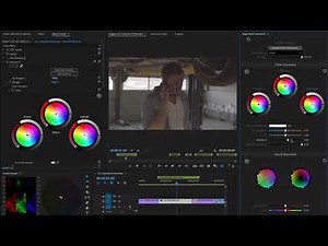 Open As A Panel in Colorista