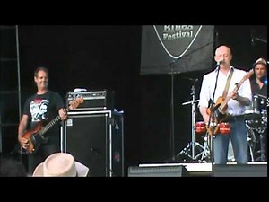 David Wilcox Live @ Dutch Mason Blues Festival