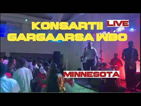 Sirba Afaan oromoo Haaraa 🔴 Live | New Oromo Music HD | Oromo Medianet