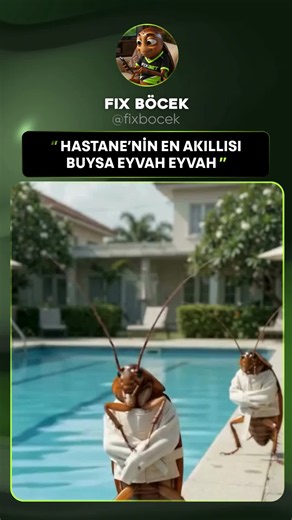 Videolar hiçbir kişiyi ve kurumu hedef almamaktadır ve tamamen hayal ürünüdür. Söz konusu böcek videolarının temel çıkış noktası, bazı internet kullanıcılarının ‘cockroach’ (hamamböceği) benzetmesi üzerinden Türkleri hedef alan ırkçı ve ayrımcı bir nefret söylemi üretme çabasıdır. Türk toplumunu ‘istenmeyen’, ‘sayıca çok’ veya ‘yok edilmesi gereken’ bir grup gibi gösterme amacı güden bu karalayıcı ifade, aslında bilinçli bir provokasyon olarak tasarlanmıştır. Ancak bu girişim, Türk kullanıcıları
