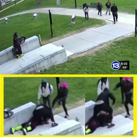 A 63 year old homeless man is beaten and stomped for no apparent reason on the streets of Toledo right outside of the Lucas County Courthouse.Of course, one of the attackers is wearing an ankle monitor and another appears to be wearing a shower bonnet.Toledo police have since arrested Cantrelle Henderson (20) and 3 "teens" - all have been charged with assault.Plan accordingly...#CityLife #crime #enrichment #toledo #ohio #decay #diversity #probation #teens #urban #democrats