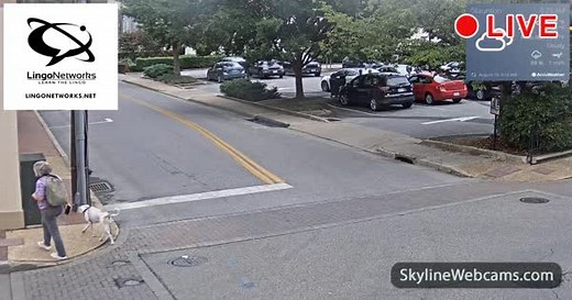 【LIVE】 Webcam Staunton - Market Street | SkylineWebcams