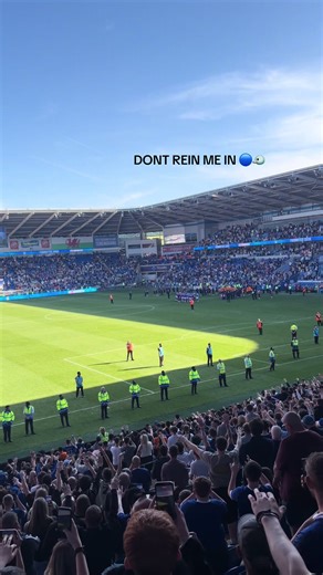 Cardiff City's Memorable Day