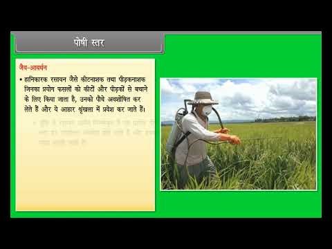 Our Environment Class 10 Biology (Hindi)
