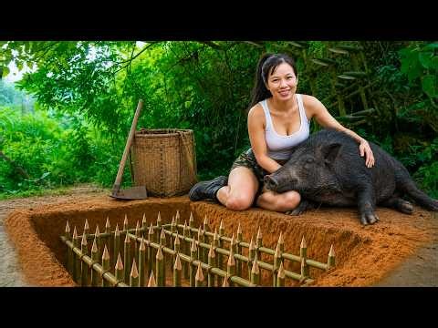 Catching Wild Boars to Raise on the Farm | Setting Up a Safe Boar Trap