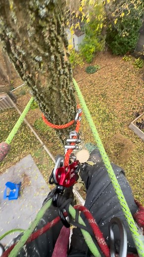 @isc_wales REFLEX has a removable swivel that you can mount directly to your bridge. Would you run this set up? | Jason K