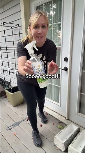 How to keep cockroaches, ants and spiders out of your house: use a peppermint oil bug spray like