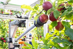 Watch robotic apple picker use suction arms and AI to harvest Michigan orchard