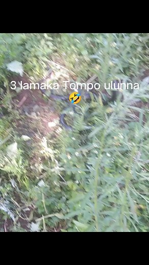 467K views · 1K reactions | Marz Marz on Reels | Facebook