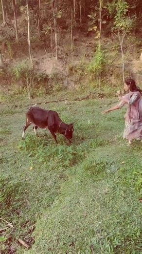 AYUB KHAN (@ayubofficial1984)’s videos with original sound - AYUB KHAN