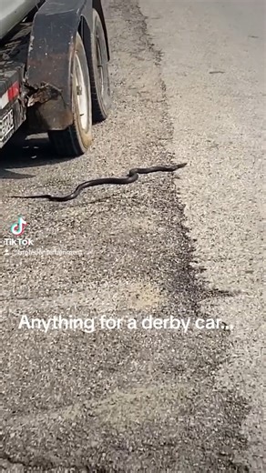 King of Ohio 2024 ride! ##demolitionderby #50ktowin #theking | United States Demolition Derby