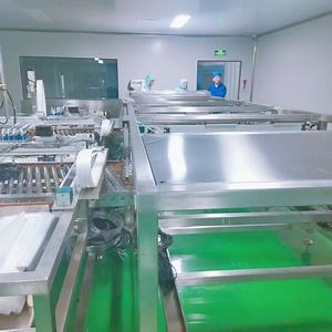 [Hot Item] 2026 Factory Developed High Precision Align Poly Bags Inserting Machine Bag-in-Bag Inserting Machine