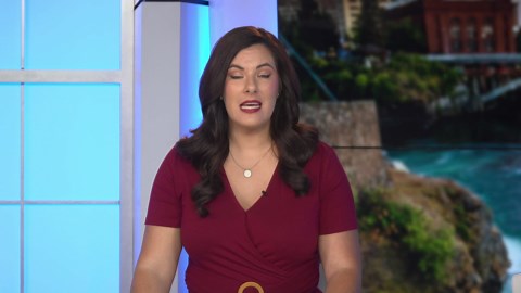 New study shows nicotine pouches are a growing source of nicotine poisoning in kids