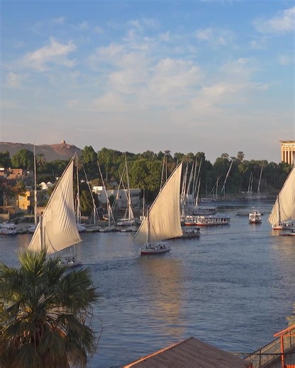 On this ultimate journey through Africa, find yourself up close with a world of wonders, experiencing the thrill of African safaris, exploring cities and townships, and finally, cruising the Nile to ancient sites. Contact me to more about this epic 24-day journey from Collette — coming in 2026! | Destinations | Facebook