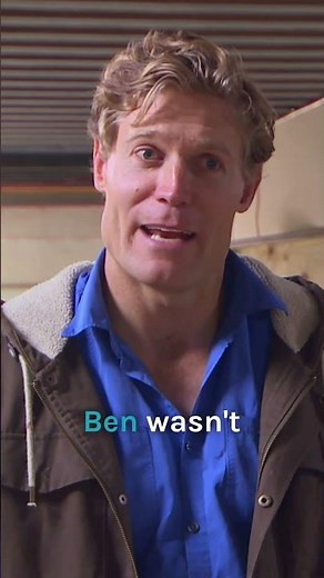 This Lamb Clearly Missed Castration Day 😂 #shorts #bondivet #lamb