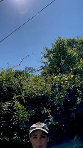 2.9K views · 63 reactions | TERMINOLOGY TUESDAY  w/ the Florida...