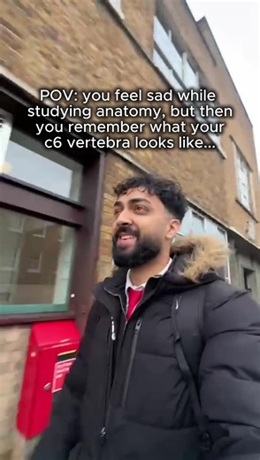 Understanding C6 Anatomy with a Cute Twist