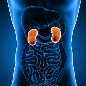 How to identify Kidney Infections.. #Health #Science #Medical | Doctor ASKY