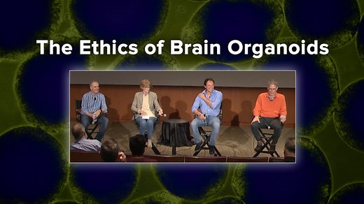 VIDEO: The Ethics of Brain Organoids with Alysson Muotri, Christof Koch, Patricia Churchland, and Evan Thompson