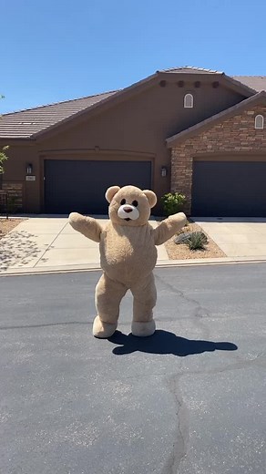 Adorable Teddy Bear Dance Video