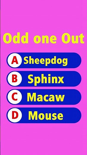 High level IQ TEST🧠