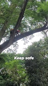 1.8K views · 19 reactions | #clearing line maintenance | life of line | Facebook