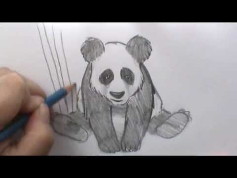 How to draw a Panda