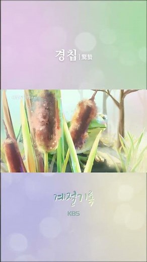 🐸 경칩(3월 5일) 만물이 겨울잠에서 깨어나다 [KBS 계절기록] | KBS 방송