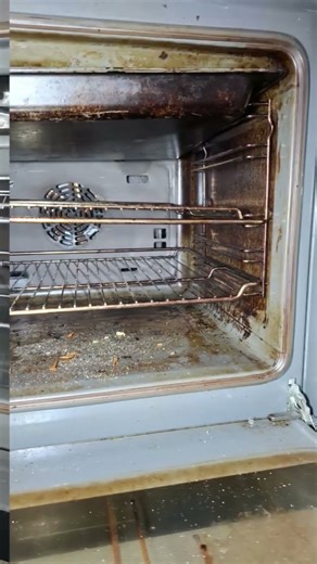 Bosch double oven clean