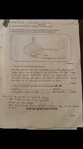 Good morning | MSCE Preparation