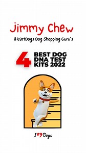 7.5K views · 117 reactions | Your dog is undoubtedly an important...