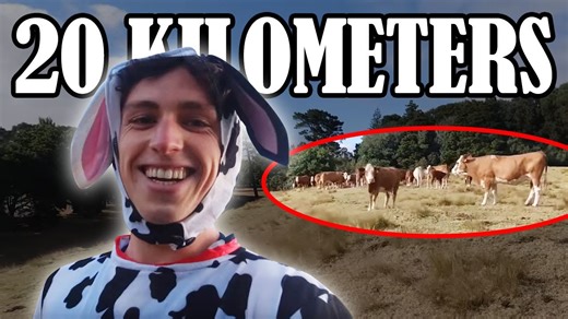 Watch what happens when man runs with cows in a cow costume