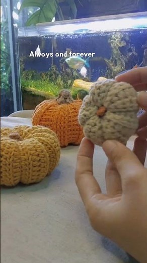 Easy Crochet Pumpkin tutorial (ENG CC)